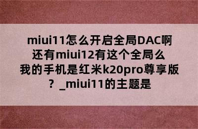 miui11怎么开启全局DAC啊 还有miui12有这个全局么 我的手机是红米k20pro尊享版？_miui11的主题是